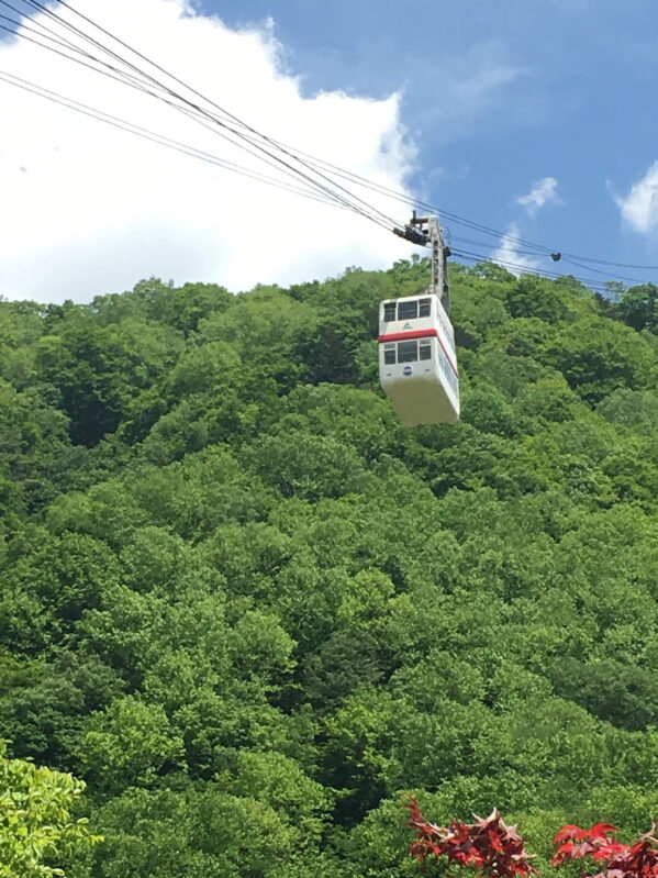 Kamikochi round trip tour